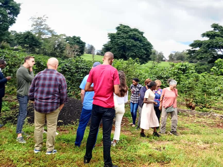 FAIRVIEW COFFEE FARM DAY TOUR - The 30-minute pickup from Nairobi