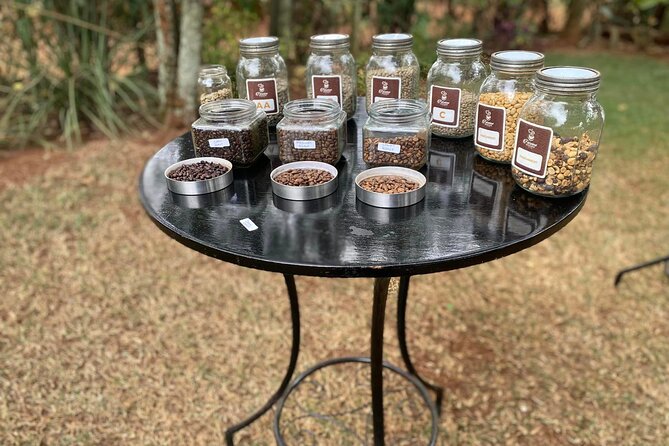 Fairview Estate Coffee Farm Tour With Pick up - Tasting Fairview coffee at the estate