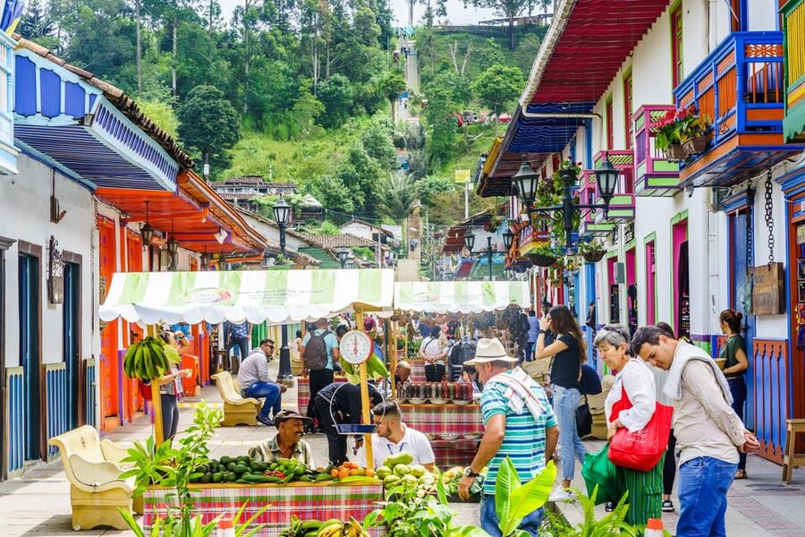 Filandia and Salento Coffee Towns Tour - Is $91 a fair price?