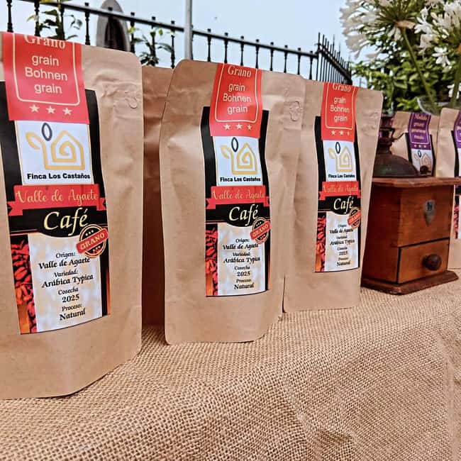 Finca Los Castaños: Agaete Valley Coffee Tour & Tasting - Starting at Finca Los Castaños
