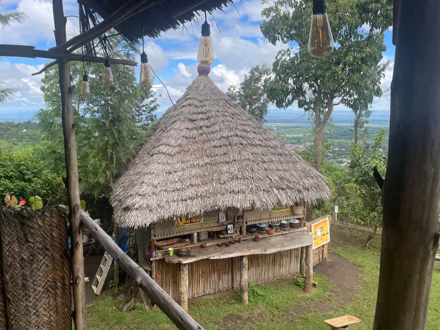 From Arusha: Coffee Farm and Mangalia Waterfalls Tour - Key points to know before booking