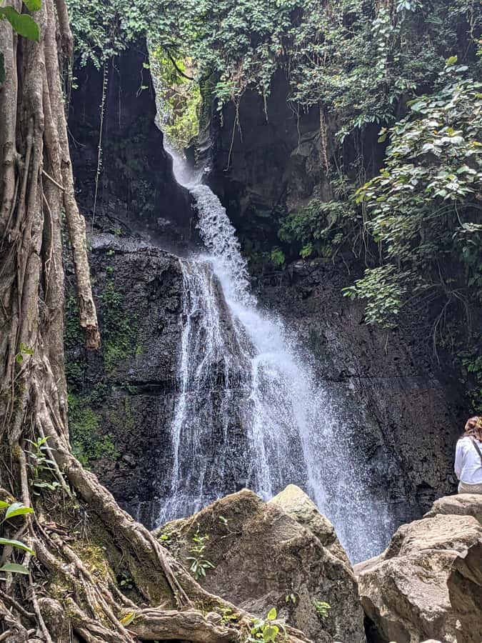 From Arusha: Coffee Farm and Mangalia Waterfalls Tour - The coffee break with mountain views