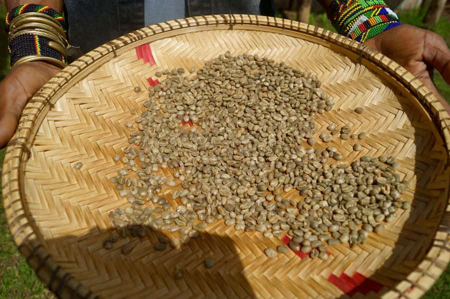 From Arusha: Coffee Farm and Mangalia Waterfalls Tour - Walking to Mangalia Waterfalls