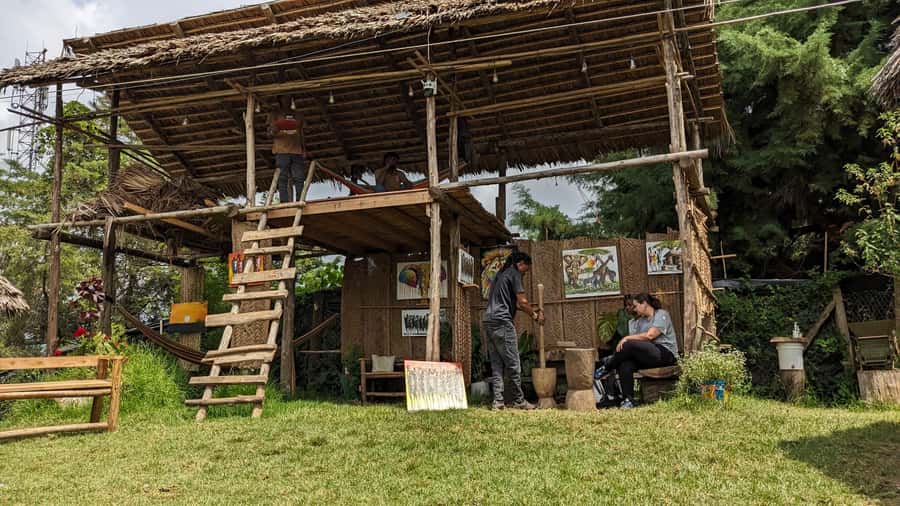 From Arusha: Coffee Farm and Mangalia Waterfalls Tour - Is the $55 price good value?