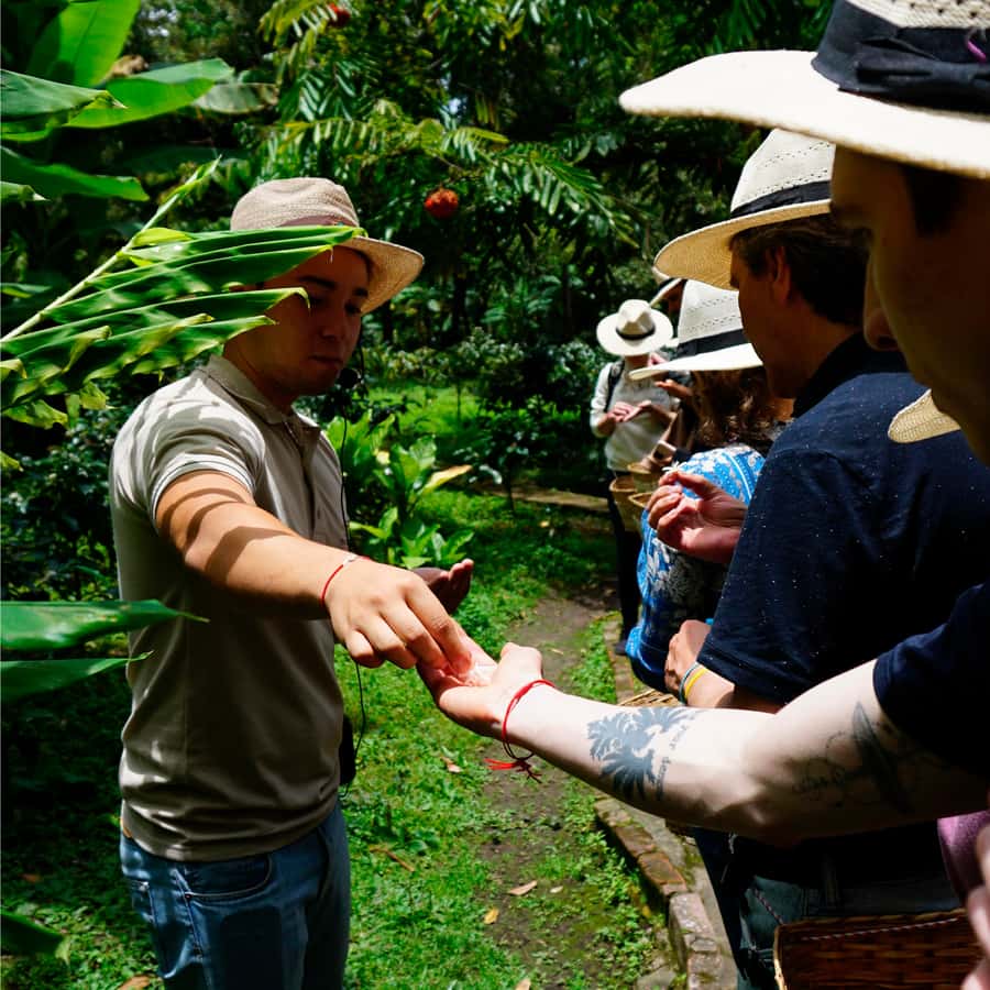 From Bogotá: Coffee Farm and Tequendama Falls Tour - Leaving Bogotá for the coffee country