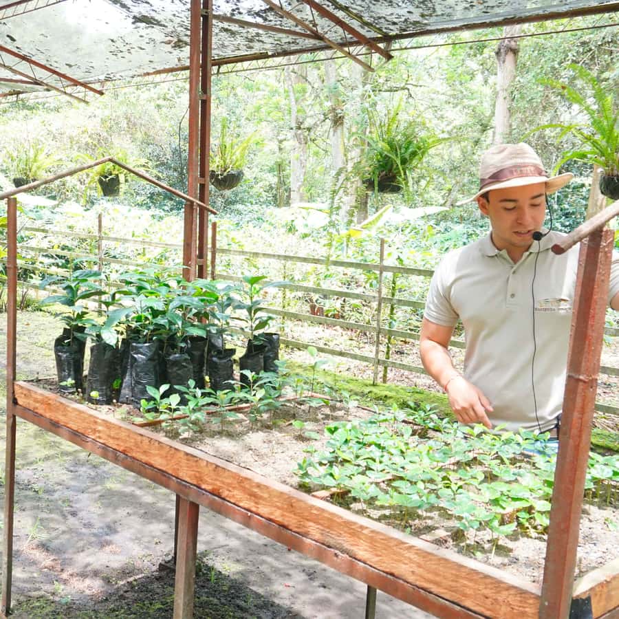 From Bogotá: Coffee Farm and Tequendama Falls Tour - A short stop at Tequendama Falls
