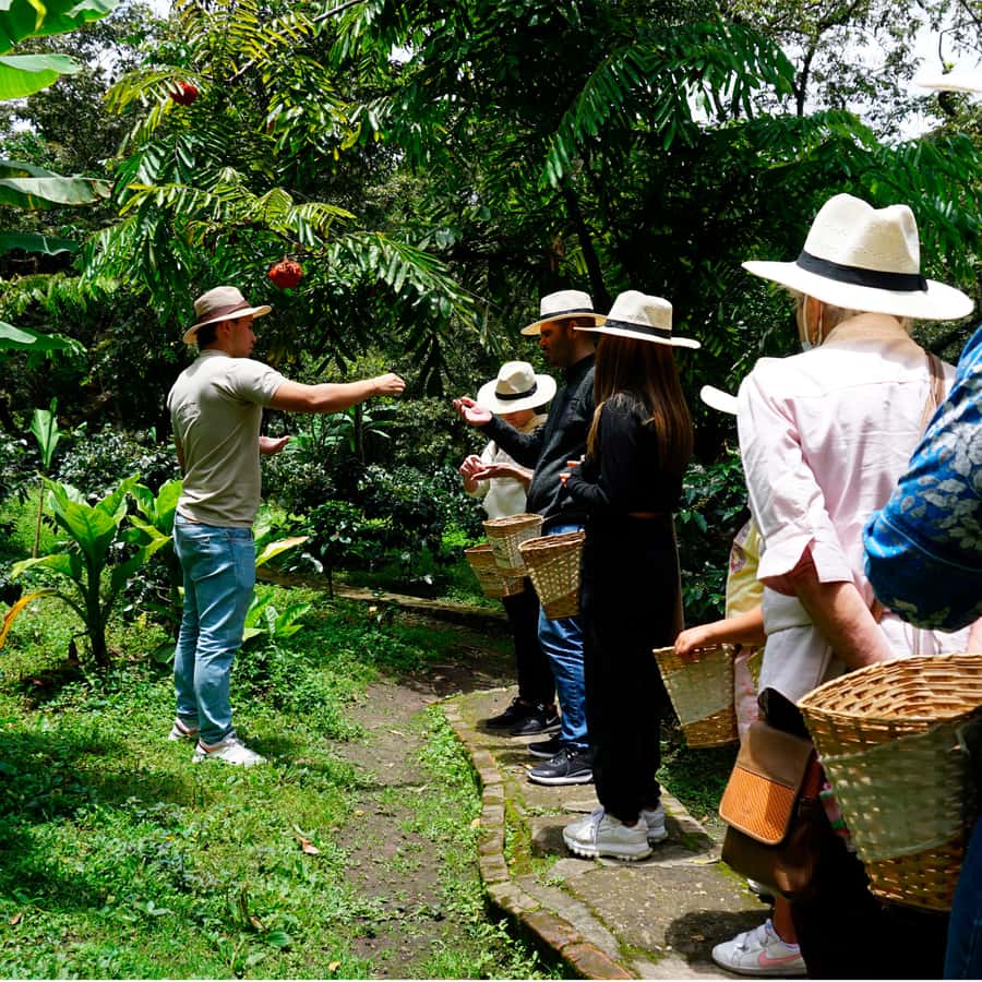 From Bogotá: Coffee Farm and Tequendama Falls Tour - Coffee tasting and the farm’s liquor