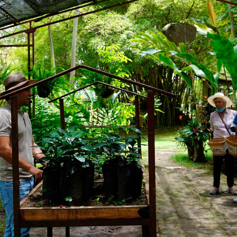 From Bogotá: Coffee Farm and Tequendama Falls Tour - What to bring and how to prepare