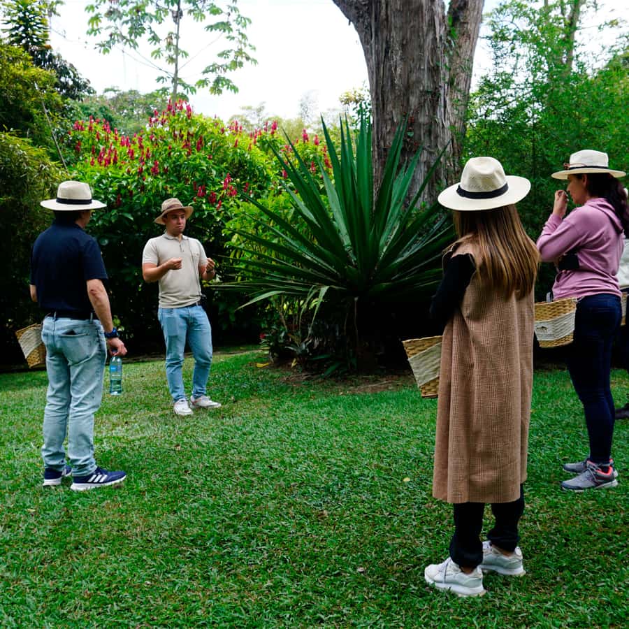 From Bogotá: Coffee Farm and Tequendama Falls Tour - My verdict on the coffee farm and waterfall trip