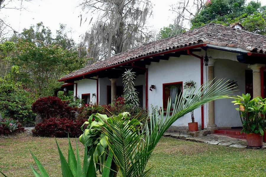 From Bogotá: Coffee Farm Experience Private Day Tour - Key points at a glance