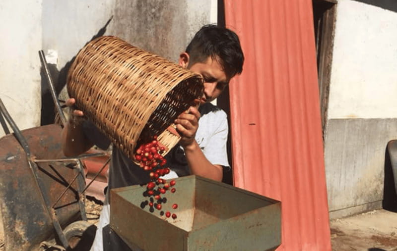 From Huatulco: Coffee and Mezcal Tour - Leaving Huatulco for the Sierra Madre