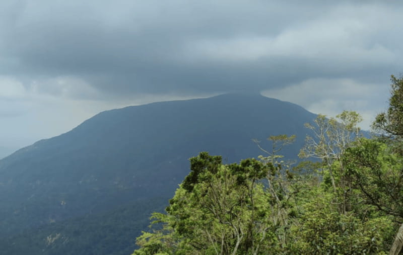 From Huatulco: Coffee and Mezcal Tour - Pluma Hidalgo, church, square, and town sign