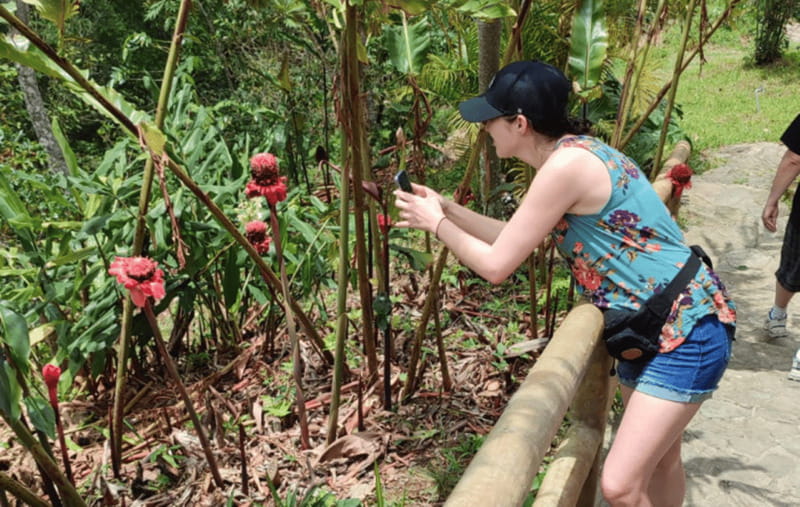 From Huatulco: Coffee and Mezcal Tour - Coffee tasting and a farm-cooked lunch