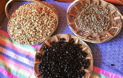 Coffee and Mezcal Tour