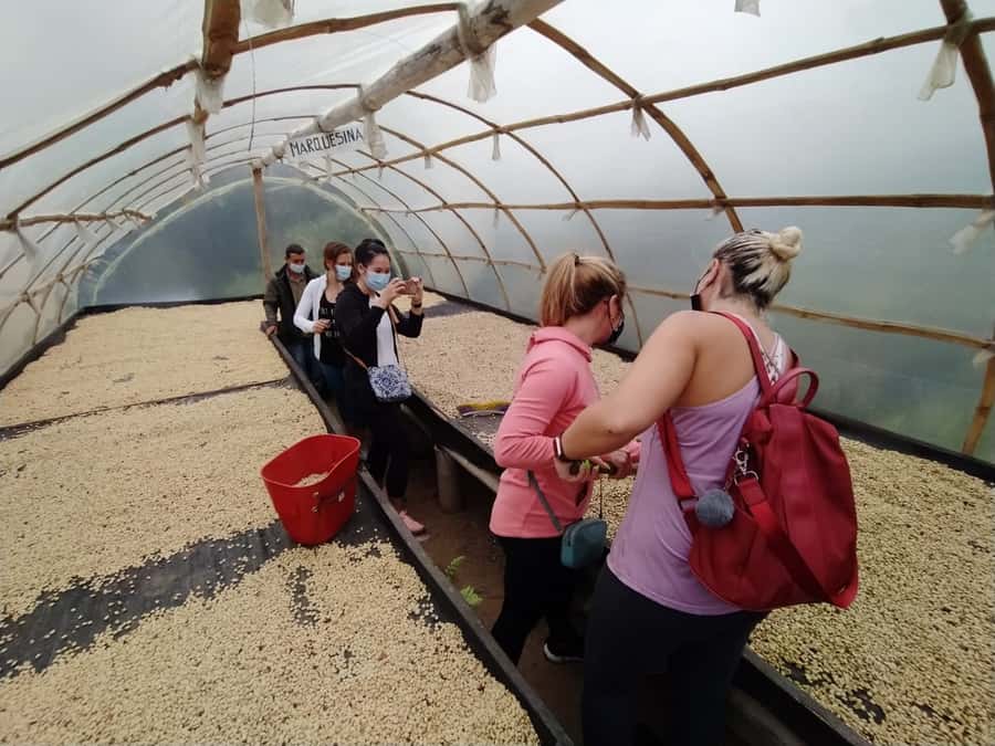 From Medellin: Private Envigado Coffee Tour with Tastings - Entering the Coffee Villa in Envigado