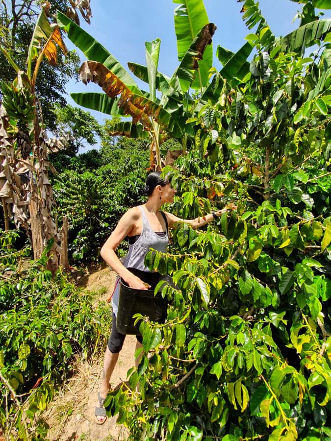 From Medellin: Private Envigado Coffee Tour with Tastings - Fabian and the Personal Side of the Visit