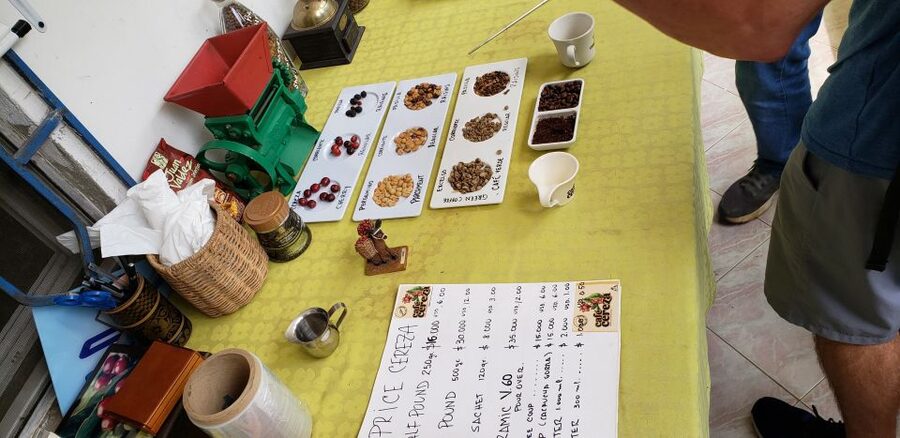 From Medellin: Private Envigado Coffee Tour with Tastings - Who Will Get the Most From This Tour