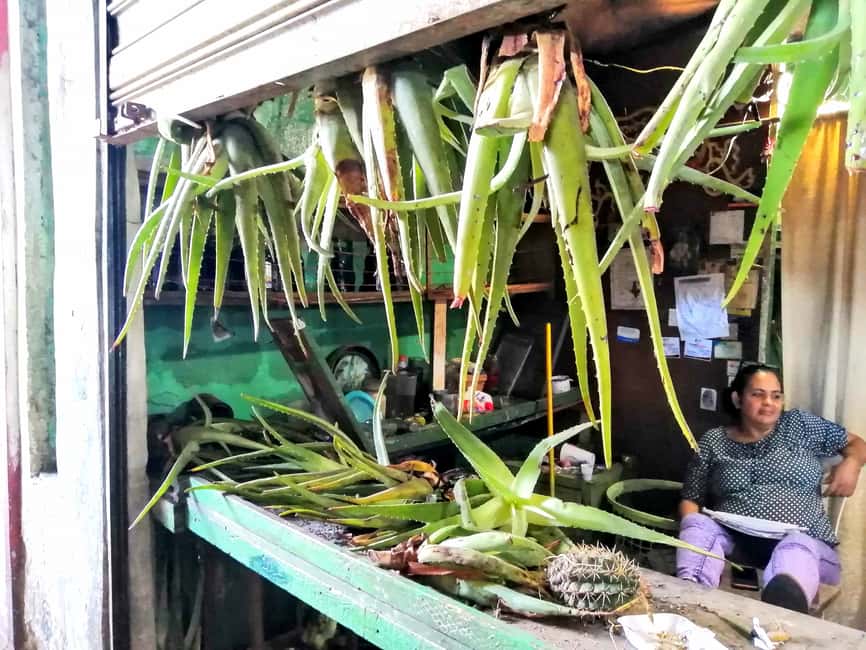 From Puerto Plata Priv: Cocoa, Coffee, Cigars & Local Market - Inside La Aurora’s cigar production