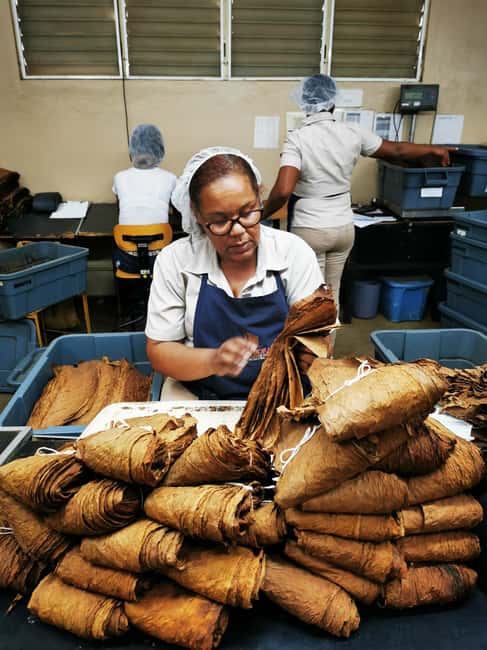 From Puerto Plata Priv: Cocoa, Coffee, Cigars & Local Market - Is $200 per person a fair price?