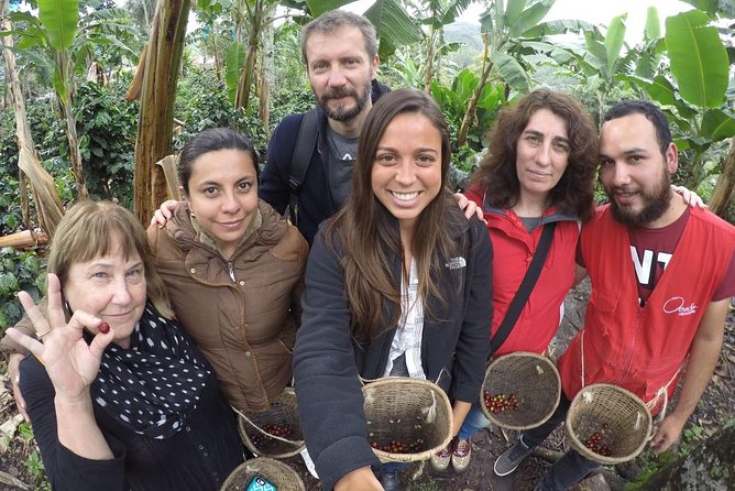 Full-Day Private Coffee Tour in Cocora Valley and Salento - Two hours beneath Cocora’s wax palms