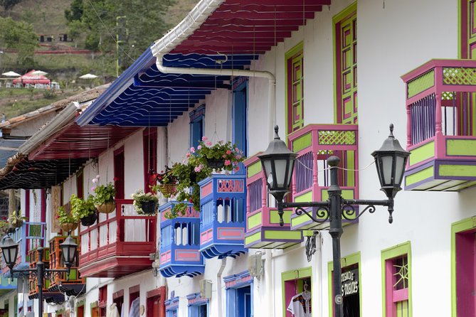Full-Day Private Coffee Tour in Cocora Valley and Salento - The long transport section through coffee country
