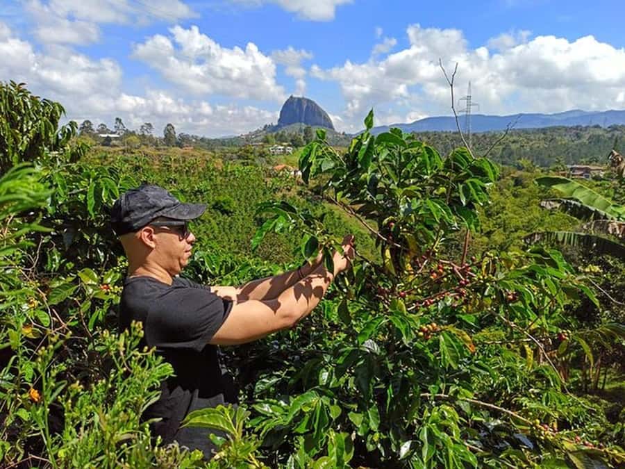 Guatapé & Coffee Farm, all in one day - Fruit tasting at an El Peñol market