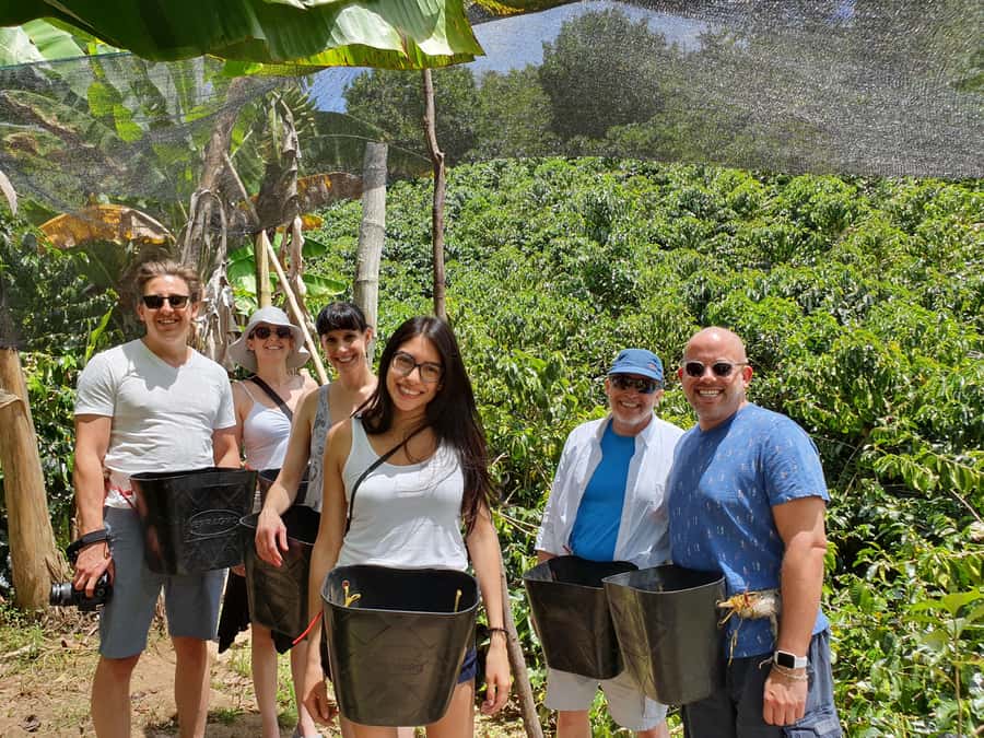 Guatape Coffee Villa including Rock Town & Waterfall - Coffee production at the Andean villa