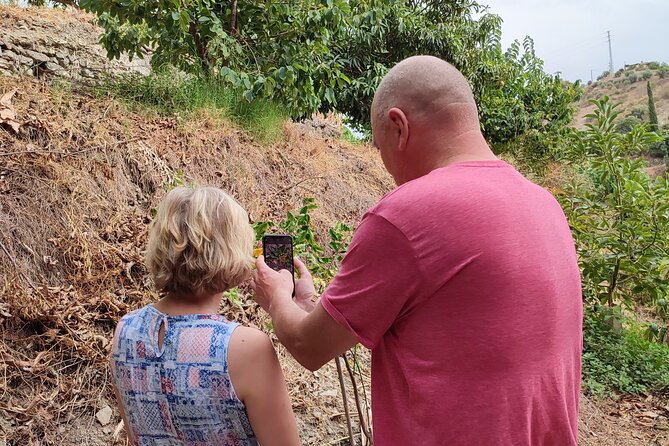 Guided Tour to the only coffee farm in Europe - The physical side: steep slope, heat, and shoes