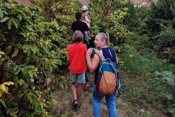 Guided Tour to the only coffee farm in Europe - Getting there and getting back