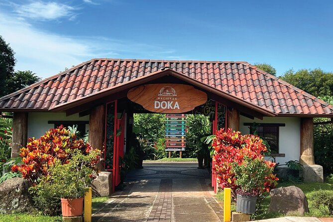 Hacienda Doka Coffee Experience Tour - Timing, transport, and who will enjoy it