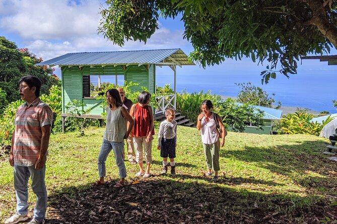 Hala Tree Coffee Farm Tour - A short walk among the Kona coffee trees