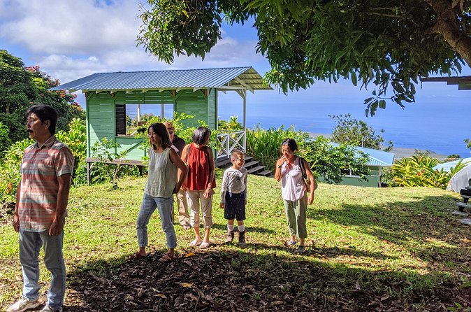 Hala Tree Coffee Farm Tour - Getting there from Kona and Captain Cook