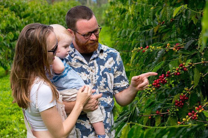 Hala Tree Coffee Farm Tour - Who will enjoy this one-hour visit