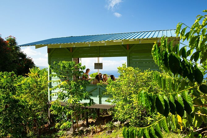 Hala Tree Coffee Farm Tour - From red cherry to roasted coffee