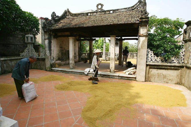 Hanoi Coffee Workshop Brew Taste and Culture Experience - Tasting the Results You Prepare
