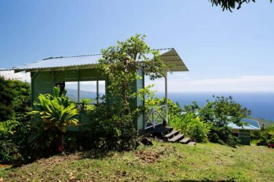 Hawaii: Hala Tree Coffee Farm Tour and Tasting