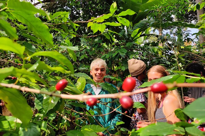 Hidden Arusha Waterfall, Coffee & Village Tour (All-Inclusive) - Why this Mount Meru day trip feels different