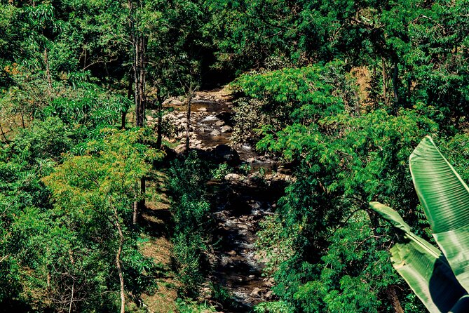 Hidden Arusha Waterfall, Coffee & Village Tour (All-Inclusive) - The final view from Akheri