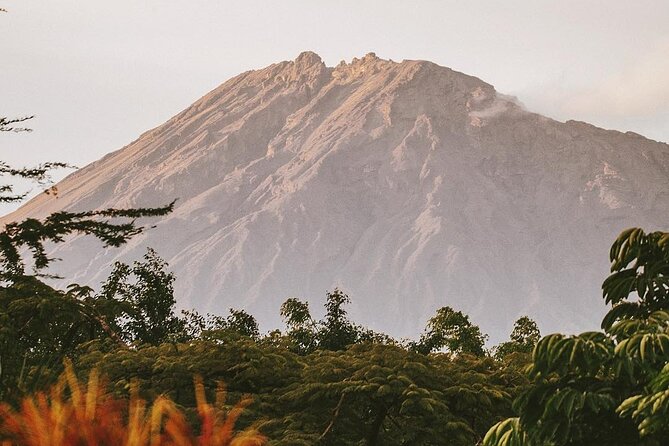 Hidden Arusha Waterfall, Coffee & Village Tour (All-Inclusive) - Timing, meeting point, and what to plan