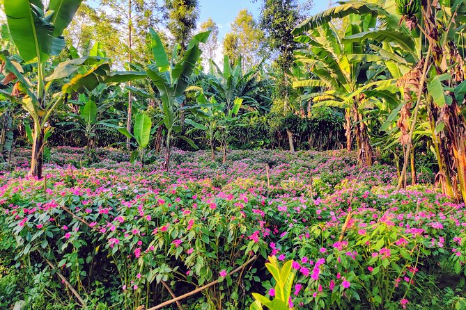 Hidden Arusha Waterfall, Coffee & Village Tour (All-Inclusive) - Who gets the best value for $40