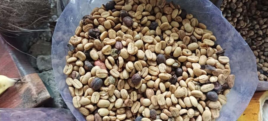 Higuey discovery, coffee and cocoa tasting from punta cana - Key points to know before booking