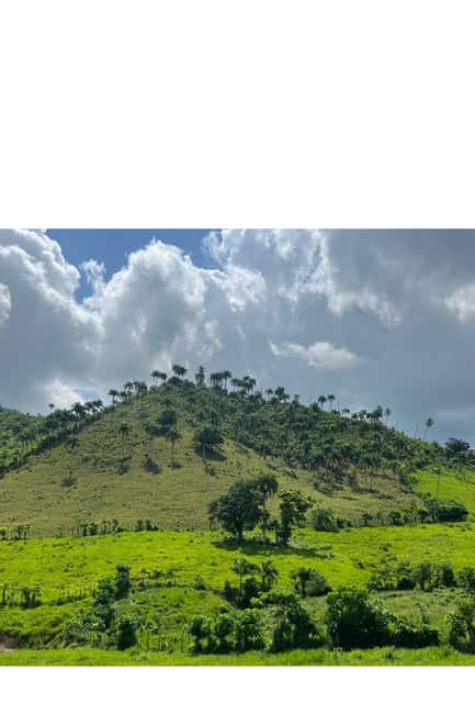 Higuey discovery, coffee and cocoa tasting from punta cana - The Basilica of Higüey and a useful clothing tip