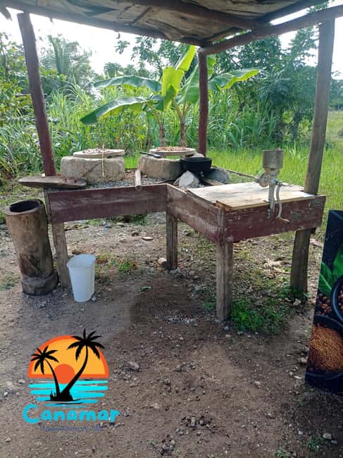Higuey discovery, coffee and cocoa tasting from punta cana - Markets where daily life takes center stage