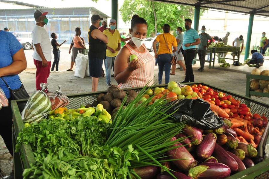 Higuey discovery, coffee and cocoa tasting from punta cana - Lunch beside the Anamuya River