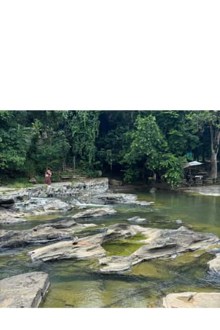 Higuey discovery, coffee and cocoa tasting from punta cana - Coffee and cacao with a local family