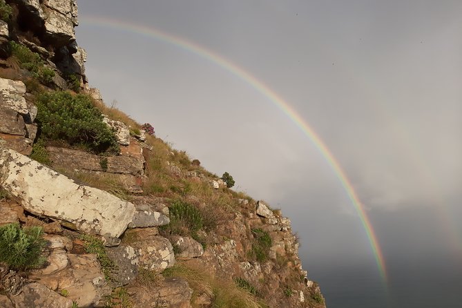 Hiking Lion's Head for sunrise, coffee & hotel Pick-up & Drop off - Pickup, meeting point, and timing