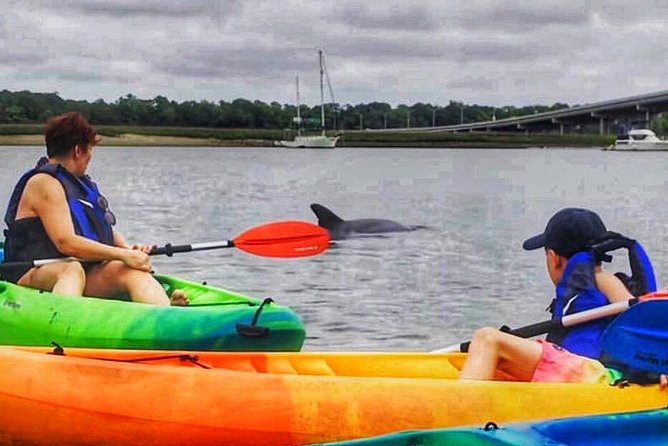 Hilton Head Morning Kayaking & Coffee Guided Tour - A quiet start on Broad Creek