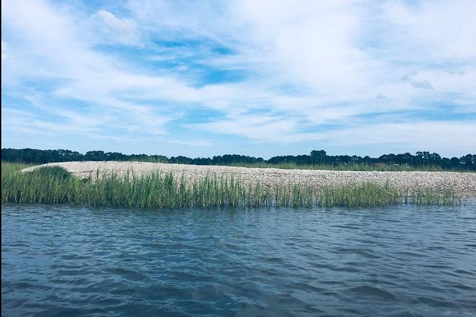 Hilton Head Morning Kayaking & Coffee Guided Tour - Practical details for a smoother morning