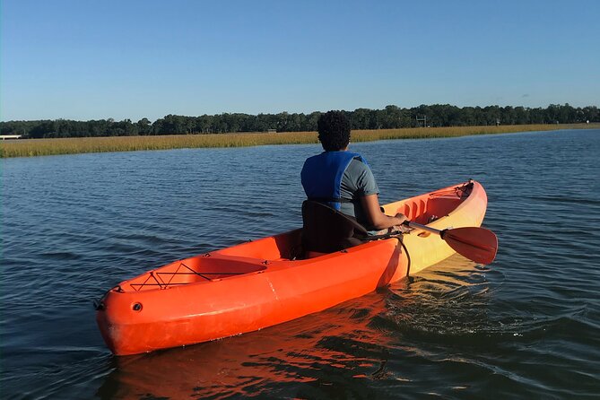 Hilton Head Morning Kayaking & Coffee Guided Tour - What you may see from the kayak
