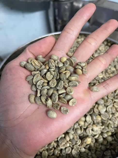 Hoi An:Coffee Making Class (Coffee: egg, Salt, Coconut, ...) - Why Hoi An coffee deserves an hour of your time